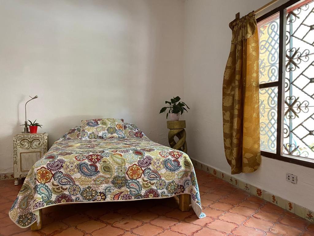 דירות סאן מיגל דה אלנדה Casa Santiago Si Hay Internet מראה חיצוני תמונה