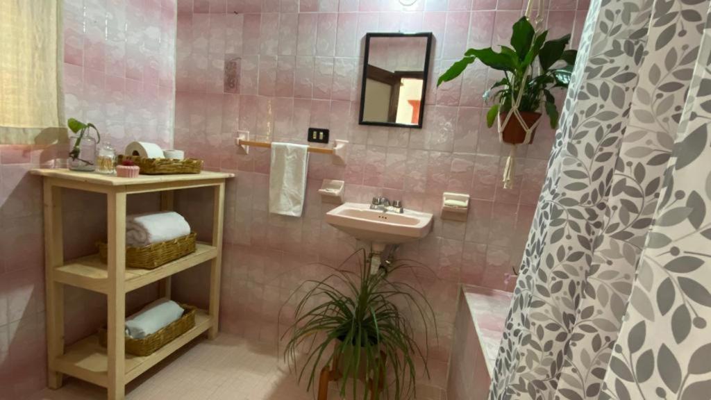דירות סאן מיגל דה אלנדה Casa Santiago Si Hay Internet מראה חיצוני תמונה