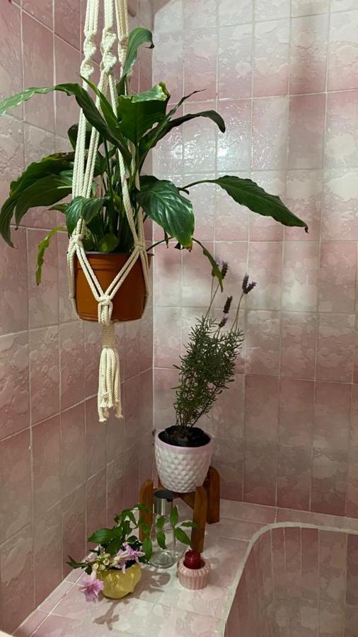 דירות סאן מיגל דה אלנדה Casa Santiago Si Hay Internet מראה חיצוני תמונה